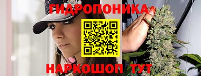 гашиш Кимры