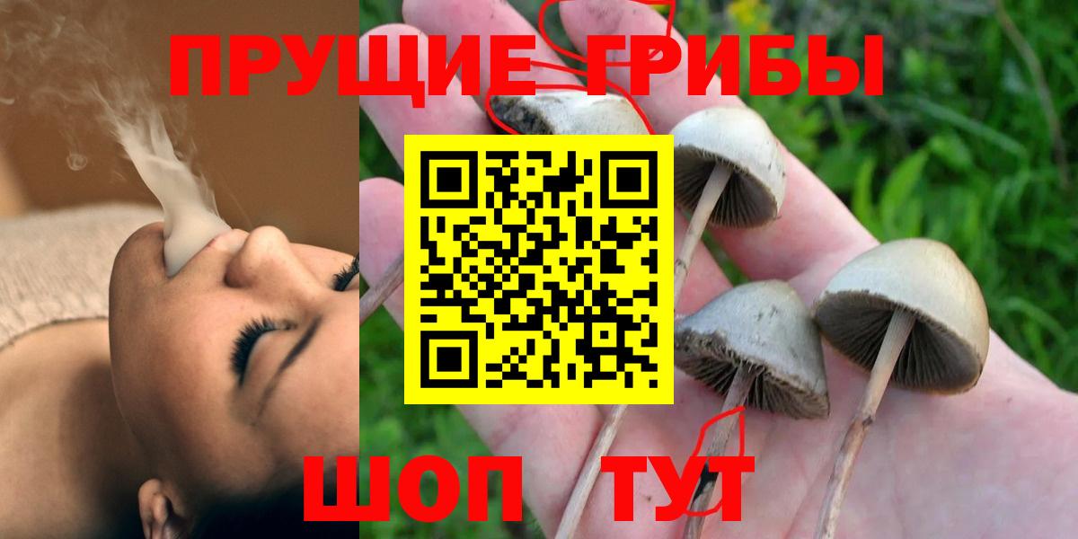 Знаменск  Вход с VPN  Мефедрон  Бошки Шишки  Марихуана  APVP СК кристаллы  Наркошоп  ГАШИШ  НБОМе  COCAIN  МЕФ  
